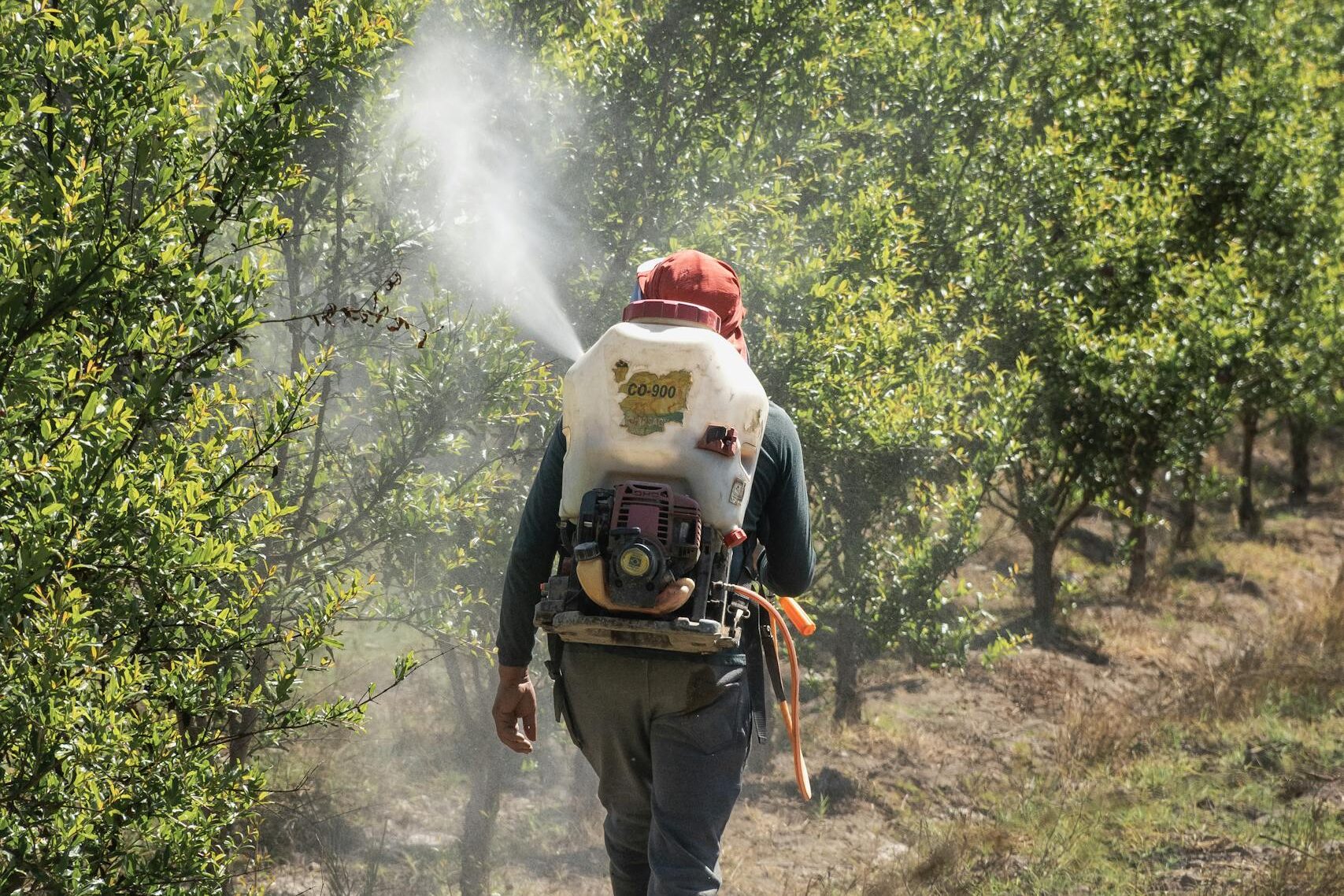 Worker spraying herbicide in field representing glyphosate exposure linked to Roundup cancer lawsuits